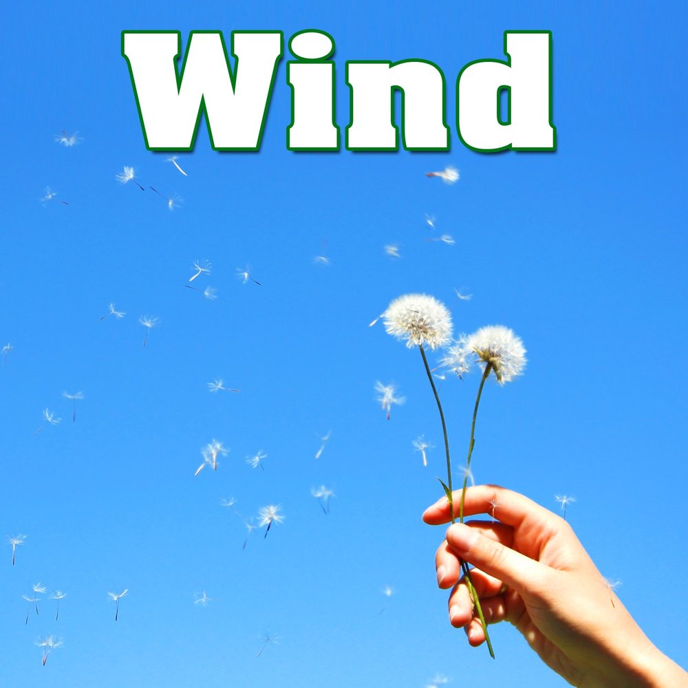 Natural wind. Wind Sound. Мелодия ветра “nature Melody”. Enjoy the Wind стпеиз. Strong Wind nature.