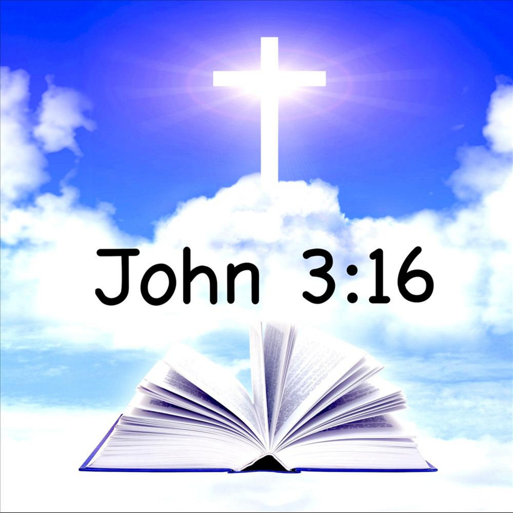 John 3 16