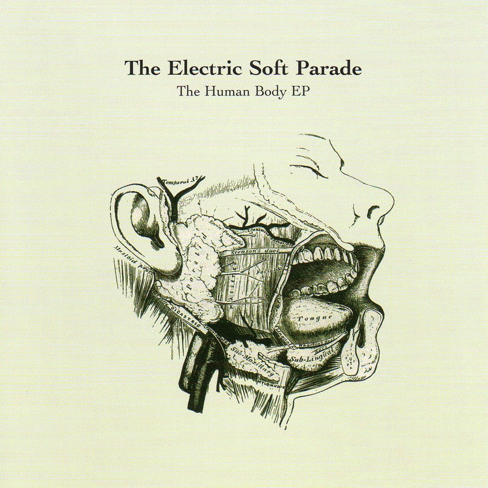 Electric soft. The Electric Soft Parade - Stages. Idiots исполнитель: the Electric Soft Parade. Kicked in the Teeth текст. The Soft Parade (de).