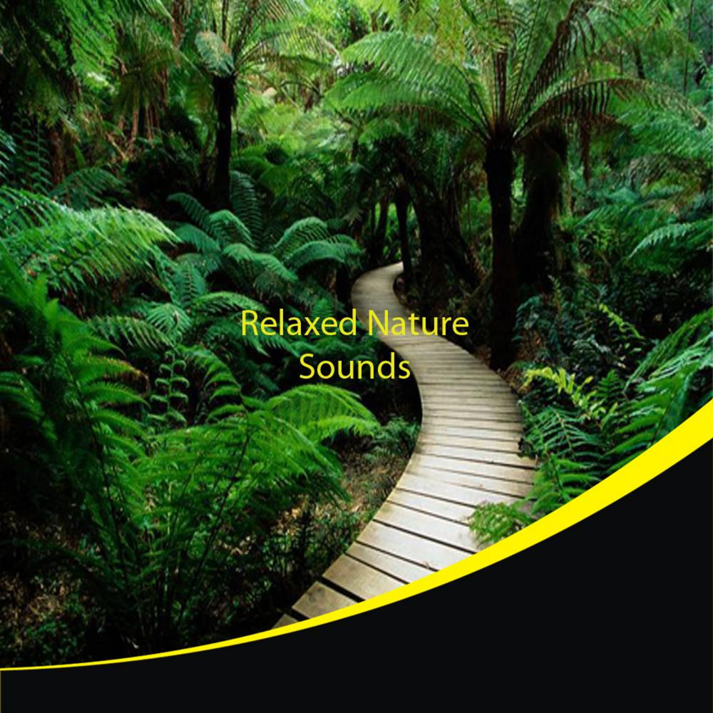 Nature sounds relaxing. Power of nature. DEOV Relaxed natural.