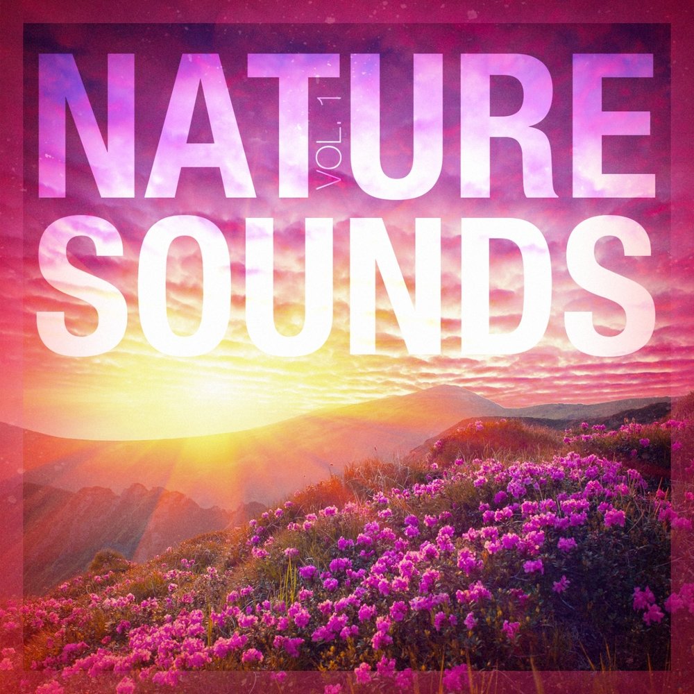 Naturals sounds. Sounds of nature. "Nature Sounds" && ( исполнитель | группа | музыка | Music | Band | artist ) && (фото | photo). Natural Sounds. Natural son.