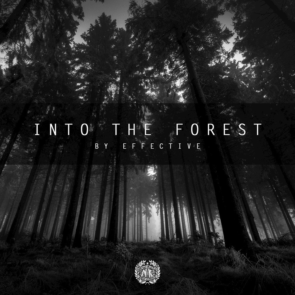 Слушающий лес. The Forest. С музыкой Forest.