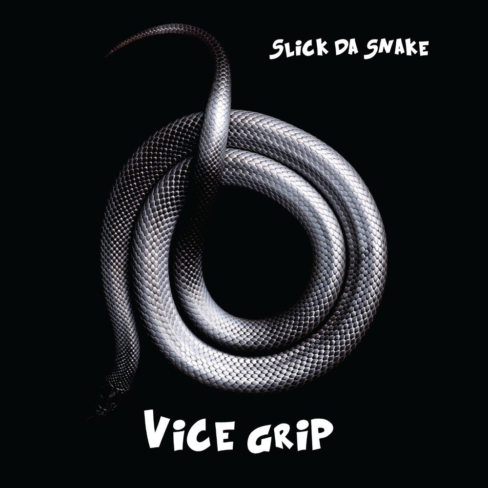 Змейка на черном фоне. Выход змеи музыка. Snakebite обложка. Q snake. Год змеи неон.