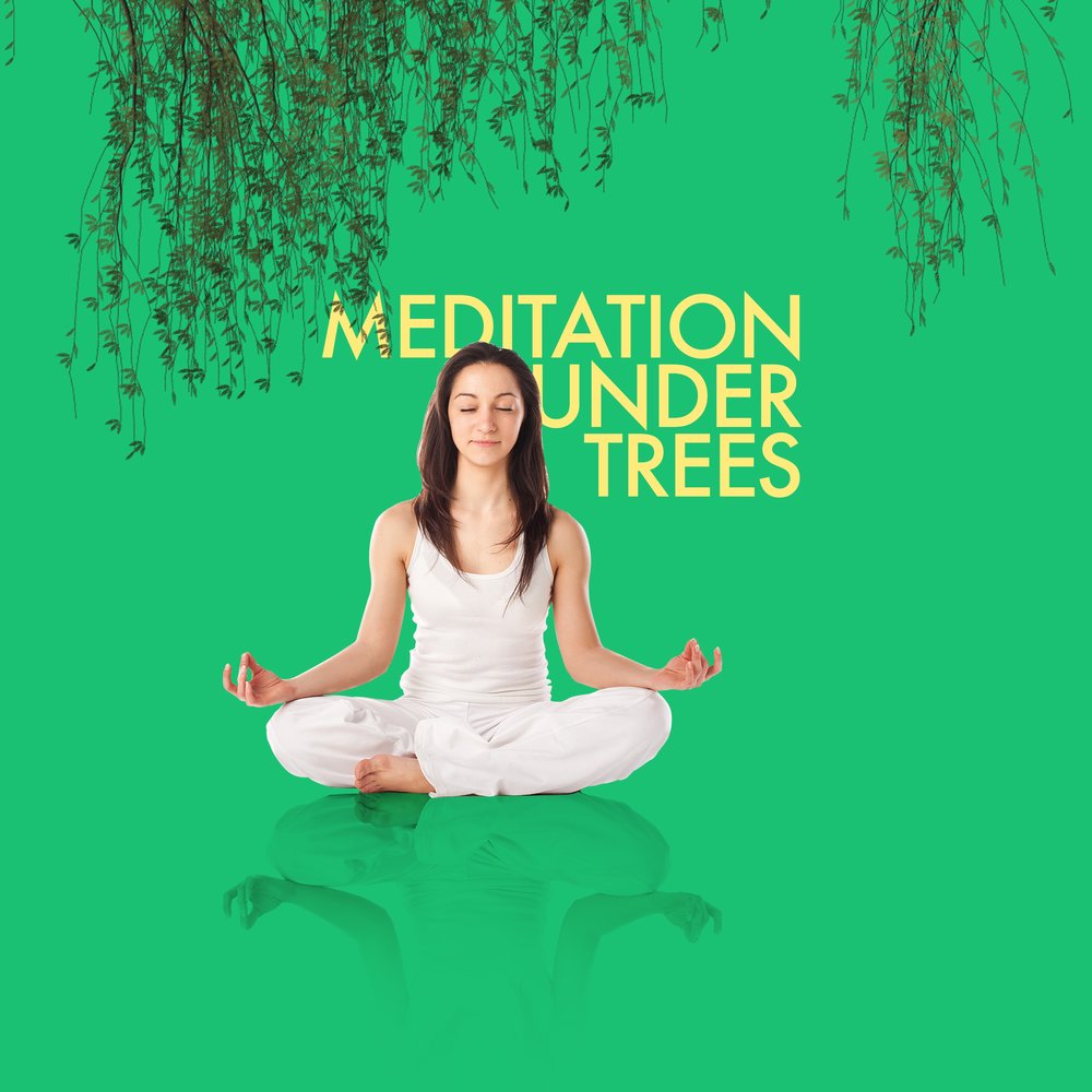 Медитация я дерево. Звуки для медитации.