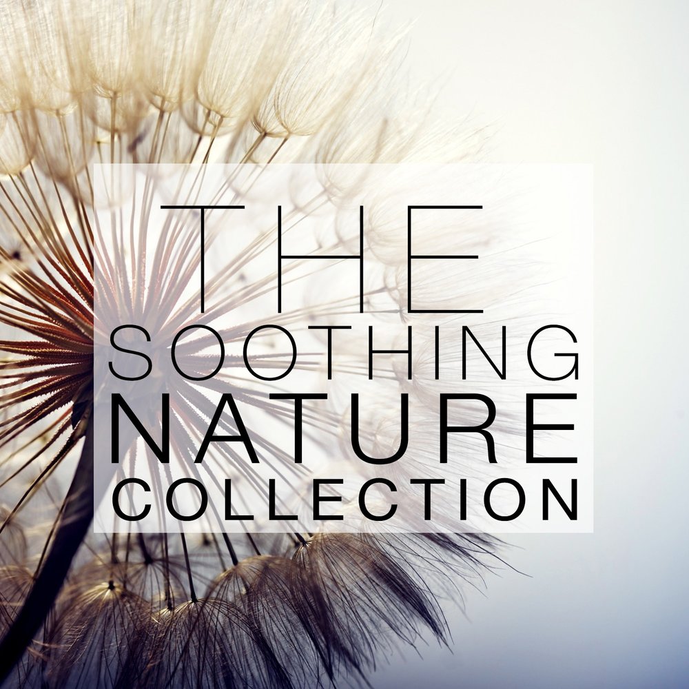 Nature songs. Nature collection перевод.