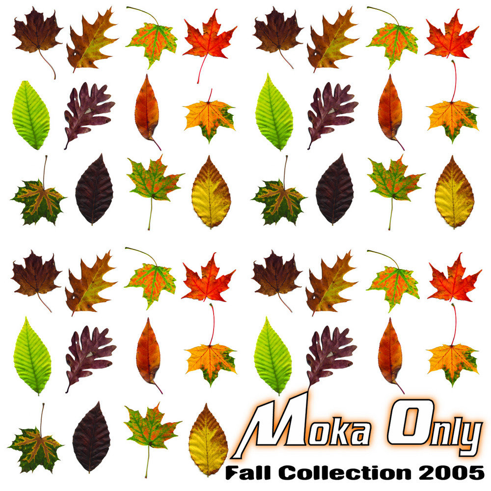 Fall collection. Falling collection.