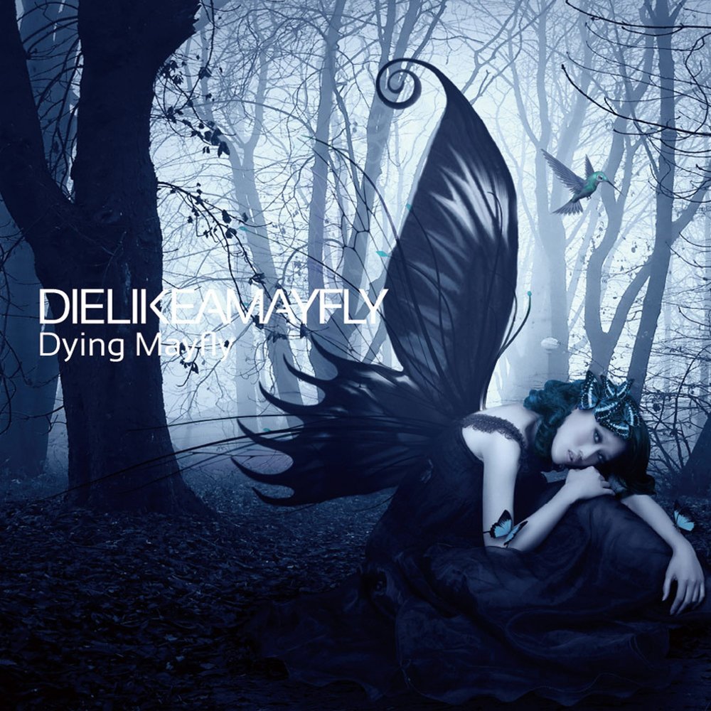 Песня dying. Die like a Mayfly.