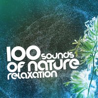 Sounds Of Nature Relaxation