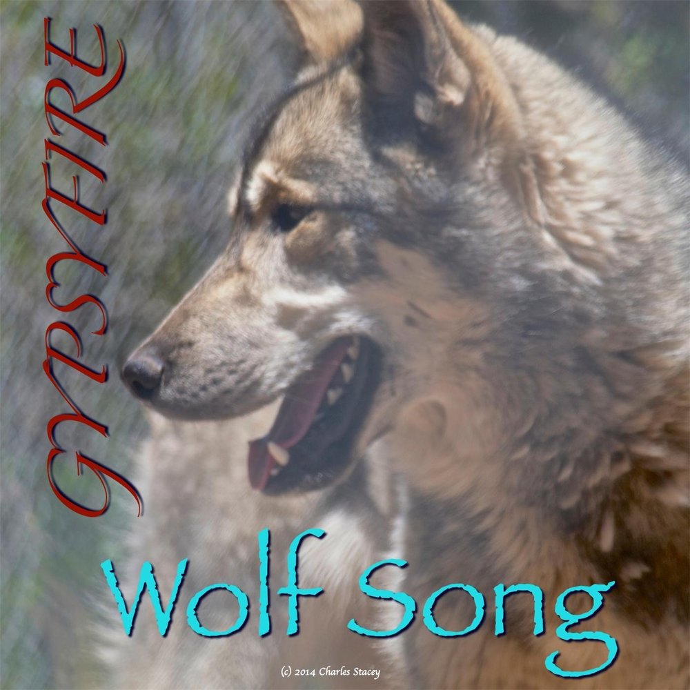 Старые волки песня. Wolf Song. The Wolf песня. Песня Вульф. Wolf песня слушать.