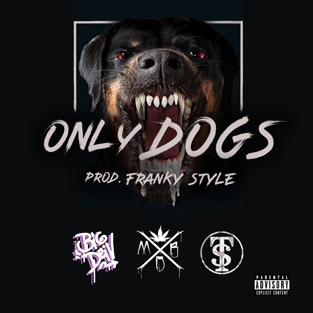 Only Dogs. Song Cover Dogs. Ninety Dogs. Behind Dog feat. Now only dogs