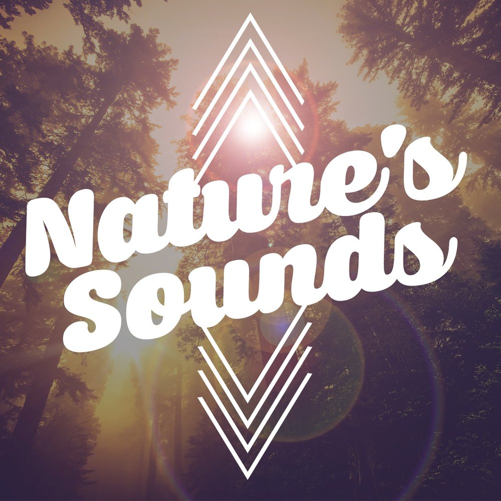 Nature with sounds. Sounds of nature. Naturals sounds. Nature with sounds. Sounds of nature.