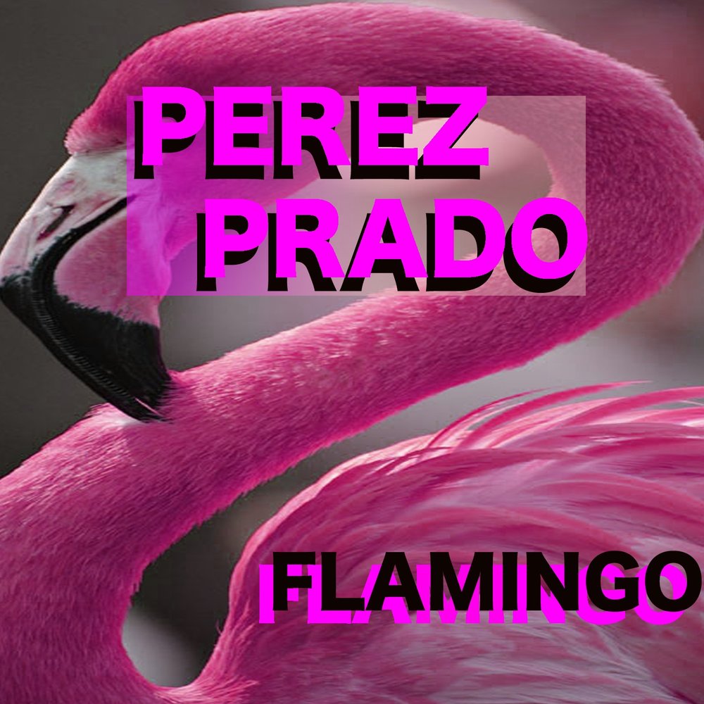 Слушать песню фламинго. Фламинго мелодия слушать. Фламинго песня.