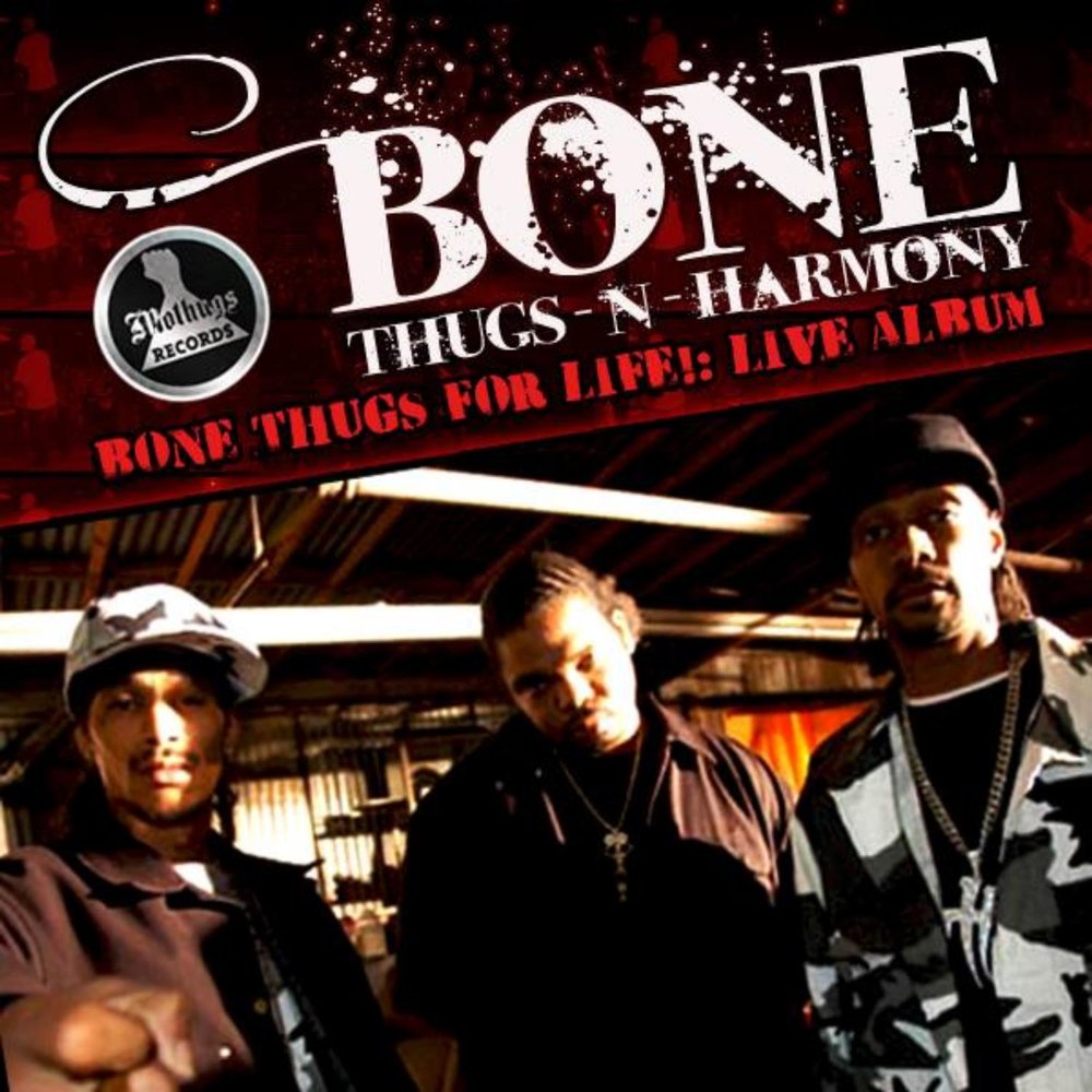 Bone harmony