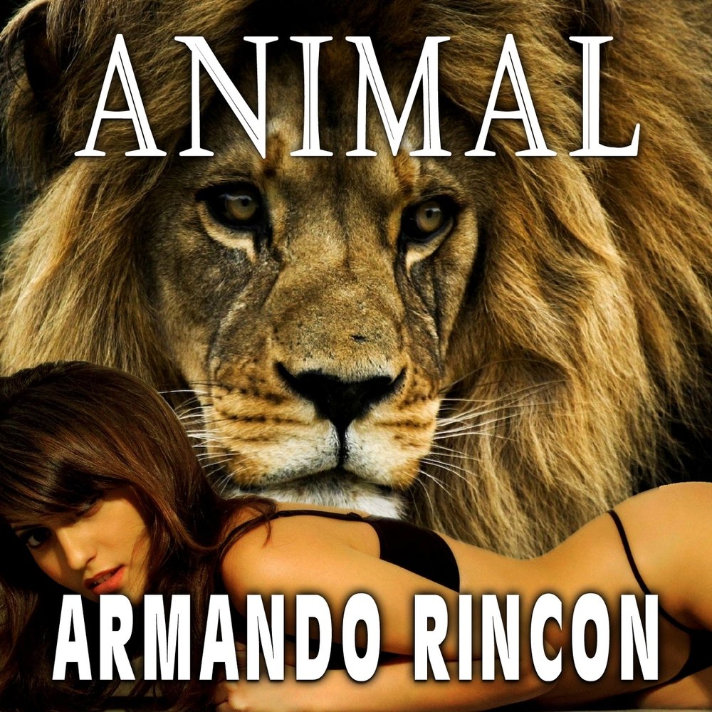 Animals dj. Animals песня обложка. Лучшие ремиксы animals.