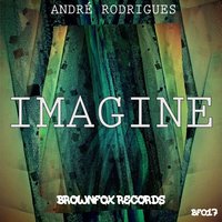 Andre Rodrigues