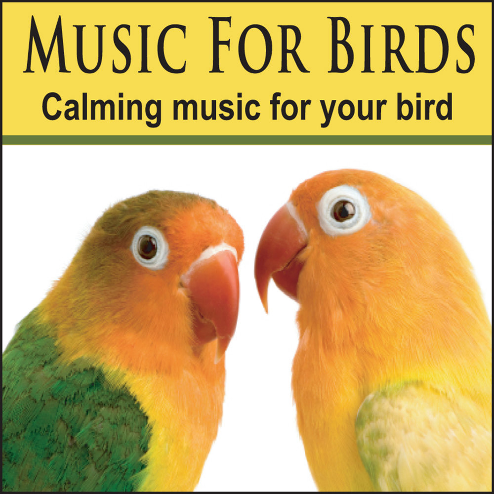 Parrots are the pets. Bird Music. Me and the Birds Music.