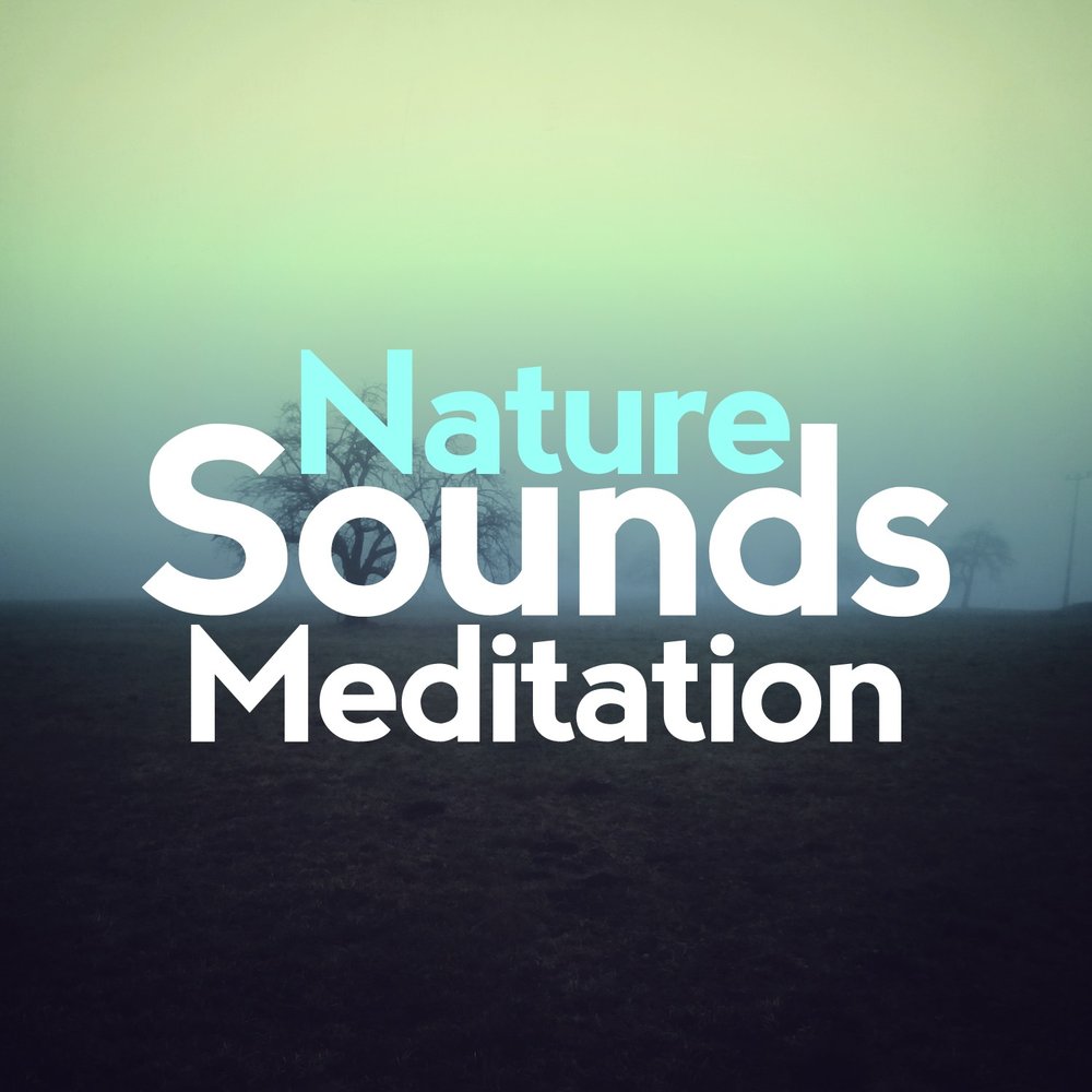 Meditation sounds. Фото альбомов Digital emotions.