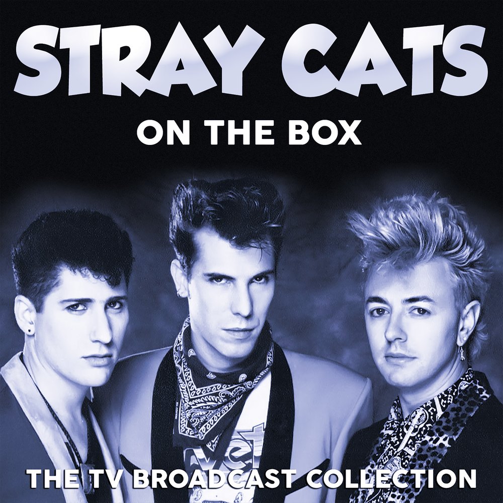 Stray cats дискография. Стрэй кэтс. Stray Cats 1981. Группа Cats. Stray Cats фото.