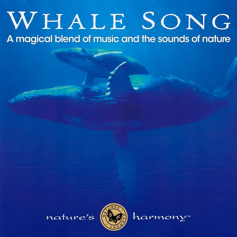 Whale Song. Песня Кашалот. Song of the Whales переводиться. Kamal - Reiki Whale Song (2001).