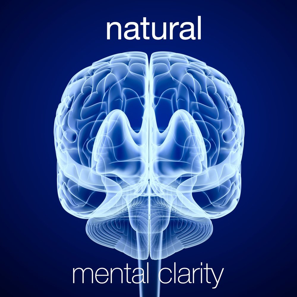 Nature neuroscience resource paper