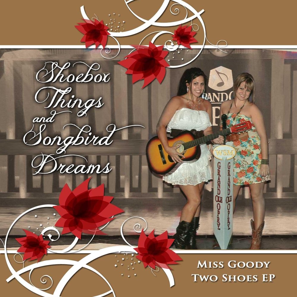 Miss good. Miss Goody two Shoes novel 9.