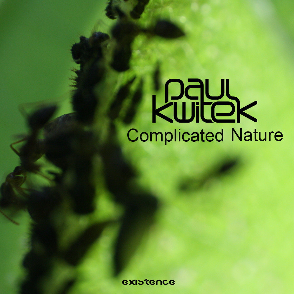 Complicated - nature Harmony (2016) mp3 от Vanila. Strange Day - Paul Kwitek. Le gramme