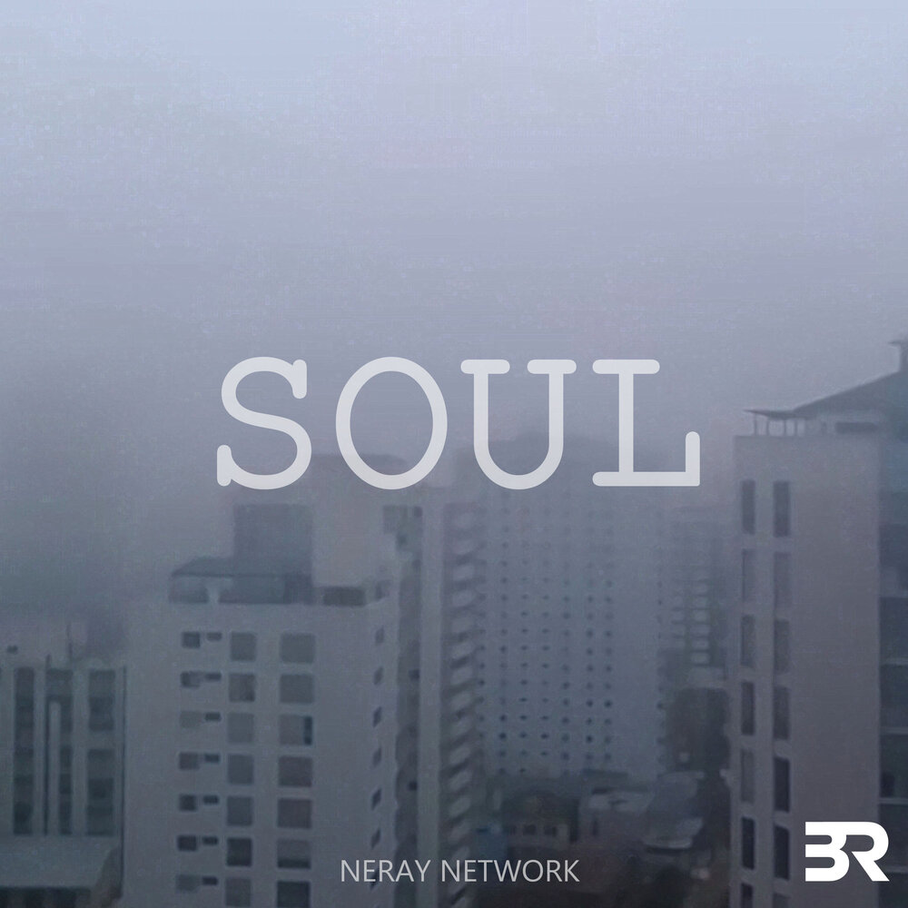 Net soul. Soul Network.