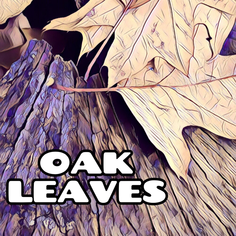 Leaves слушать