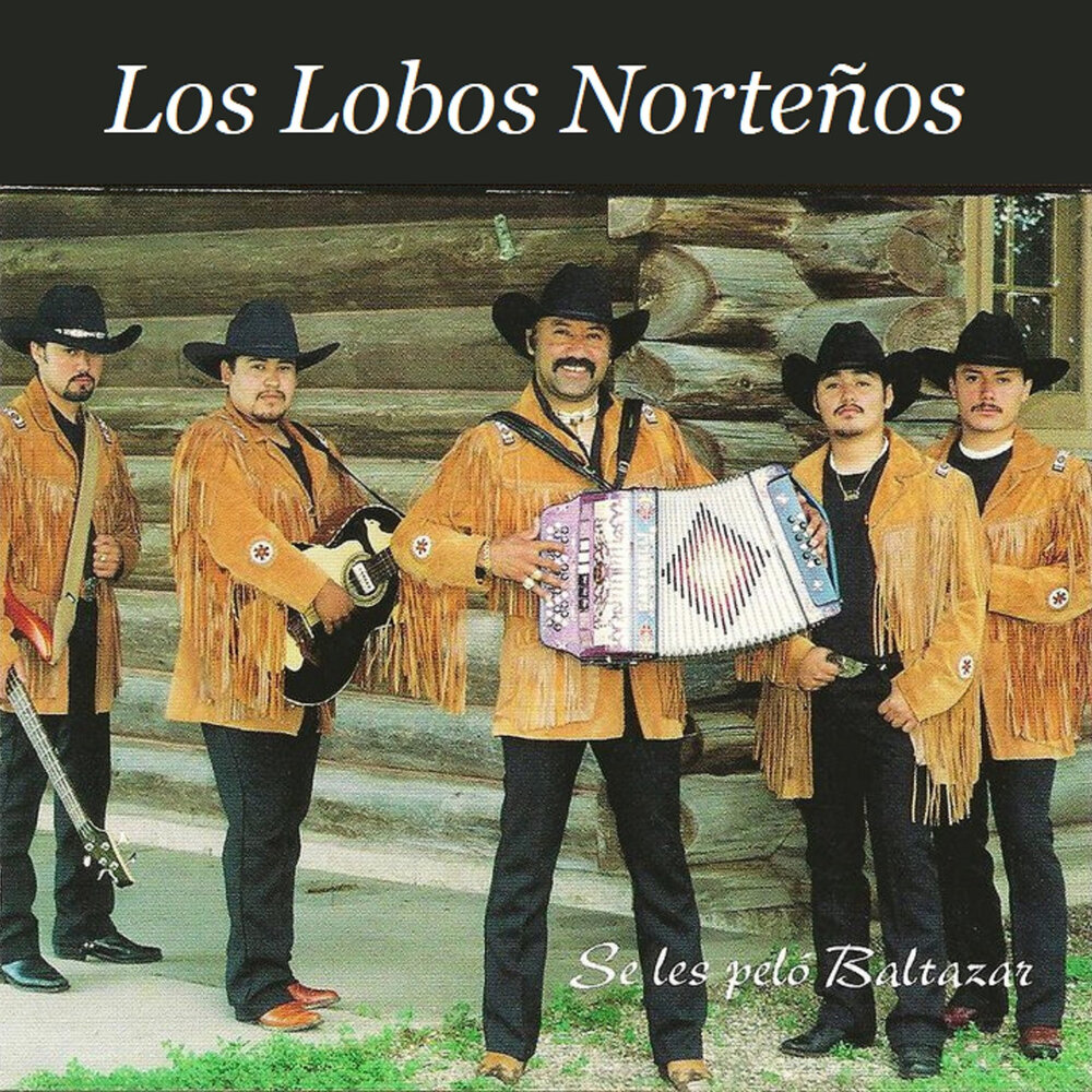 Los lobos la. Лос Лобос слушать. Нортенос. "Los Lobos" && ( исполнитель | группа | музыка | Music | Band | artist ) && (фото | photo). Nortenos.