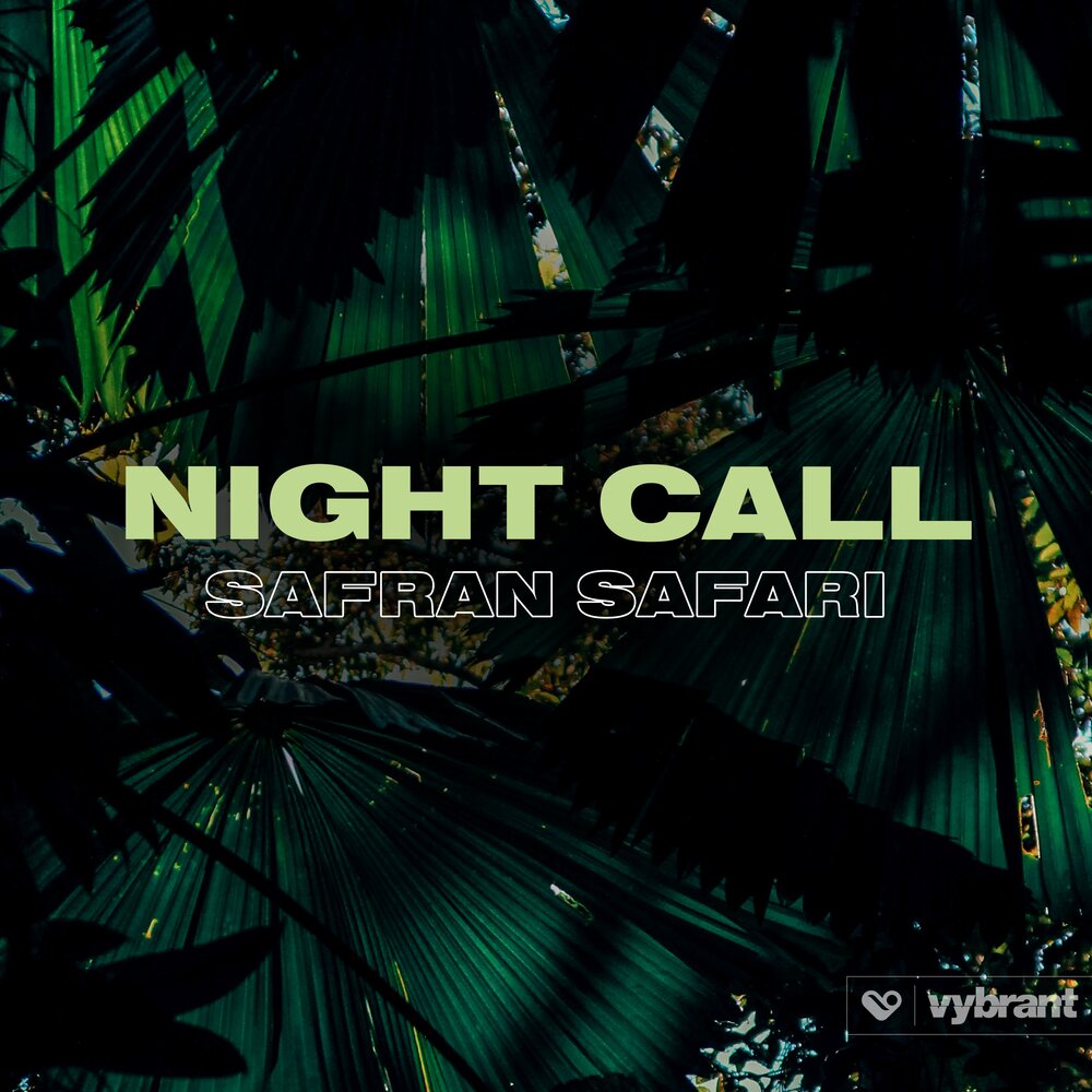 Песня night call. Night Call песня. Safari Music. Сафари ночью. Call of the Night песня ночных.