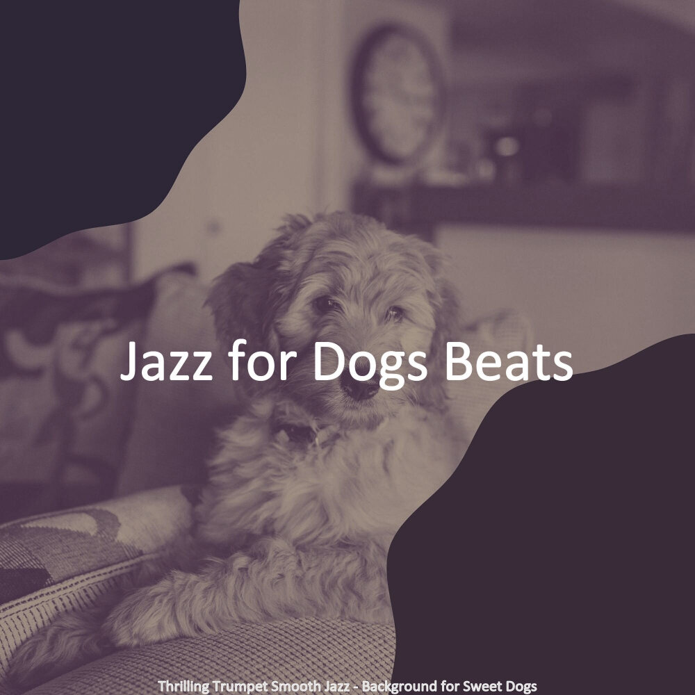 Dog beats