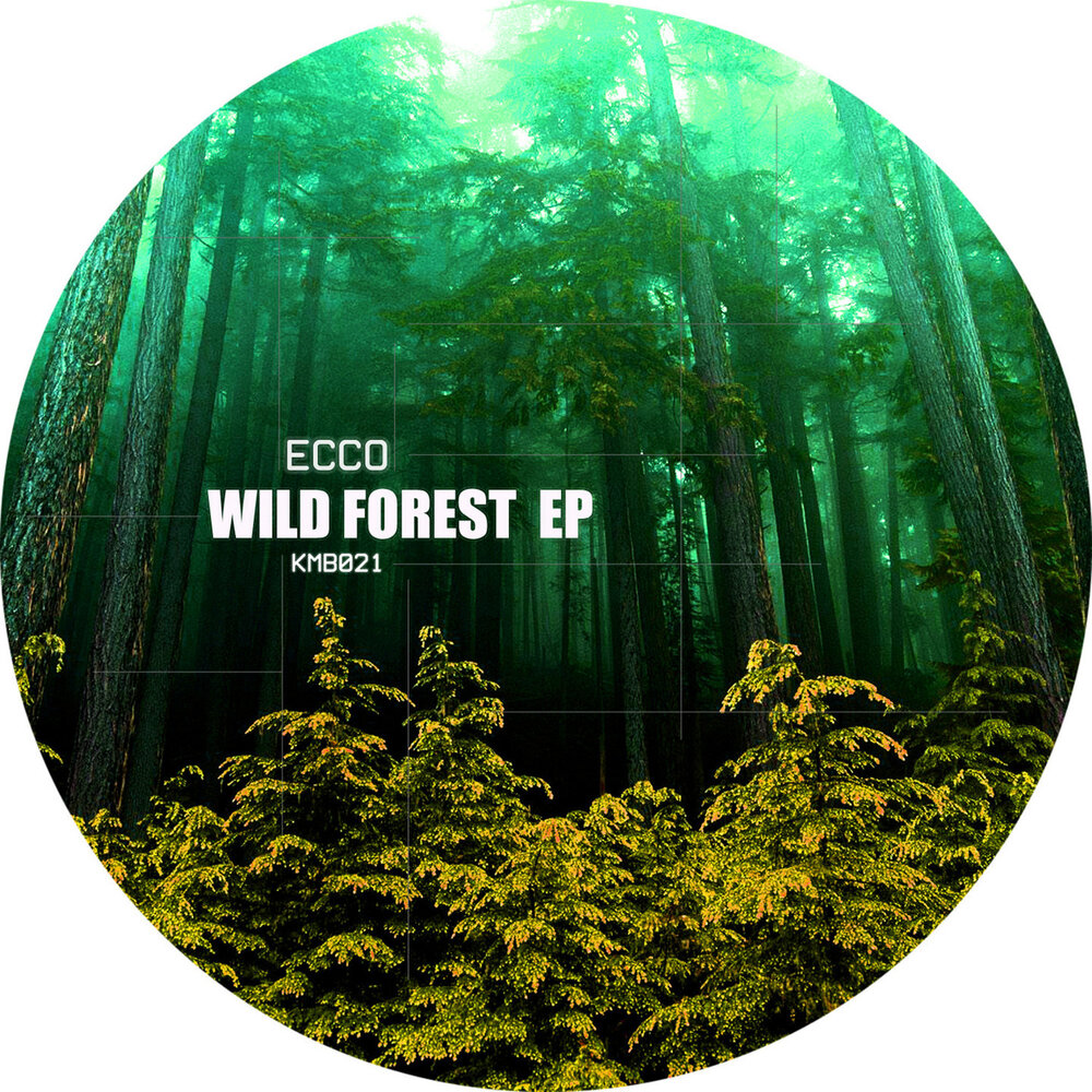 Wild forest вкус. Альбом Wild Forest. Forest песня. Deep Forest ecco.