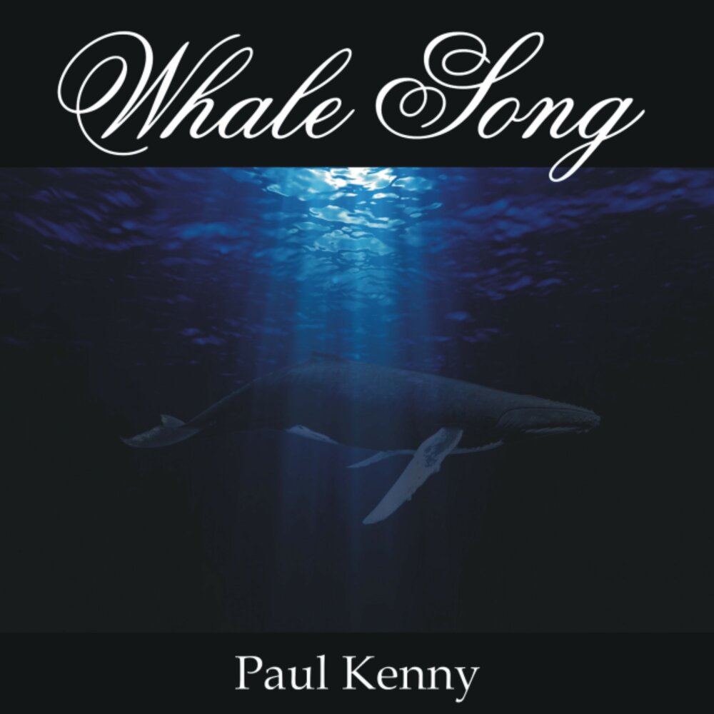 Paul Kenny. Long Whale Song альбом. Whale Song Studio.