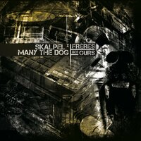 artist-cover