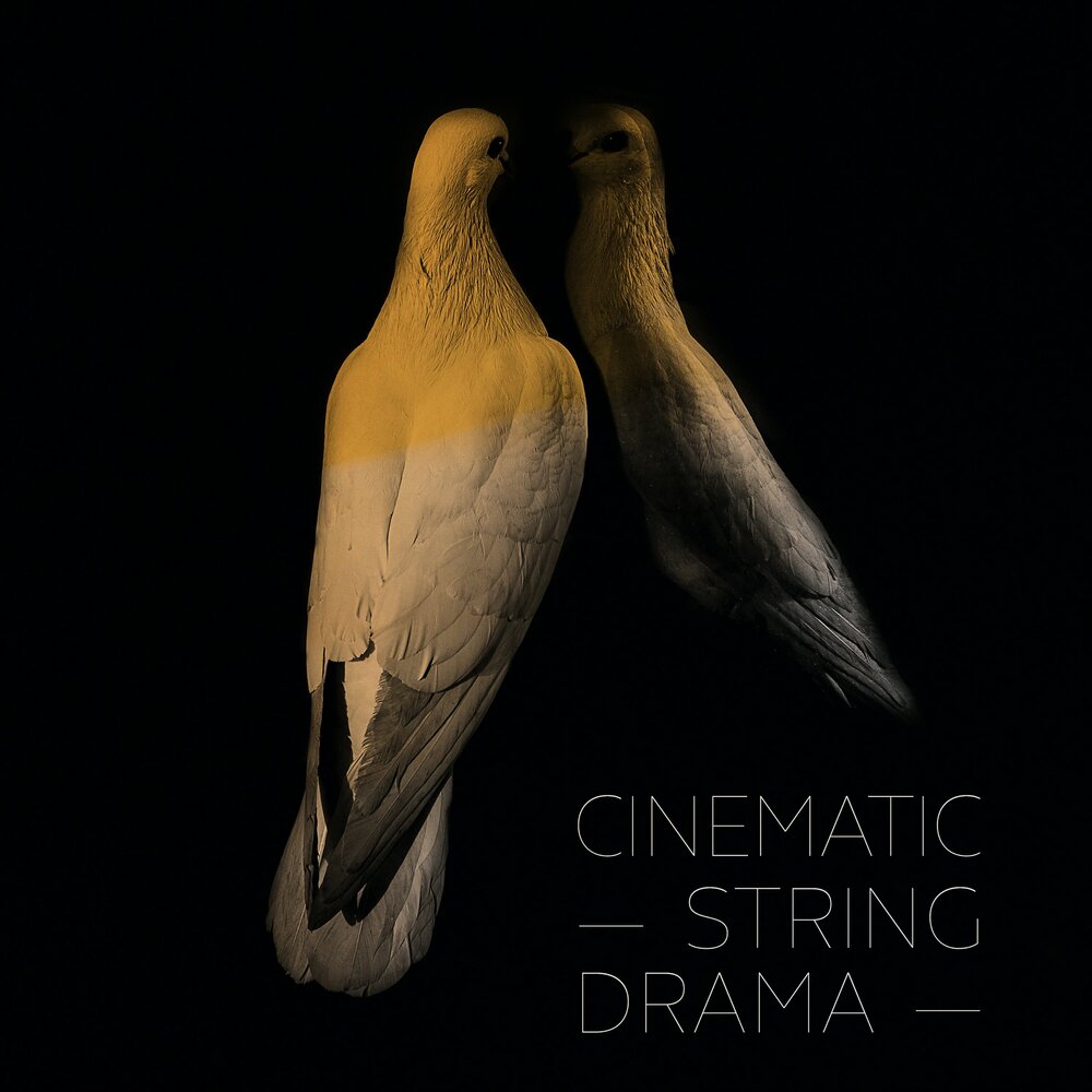 The Cinematic Orchestra. Cinematic Strings 2..