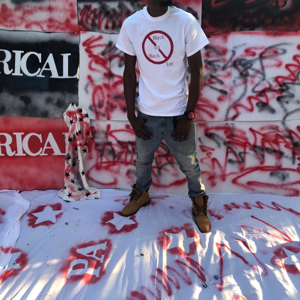 Лошади породы тайгер. Раффиан лошадь. More than ready. Азорская порода лошади. Жеребец или мерин как отличить фото.