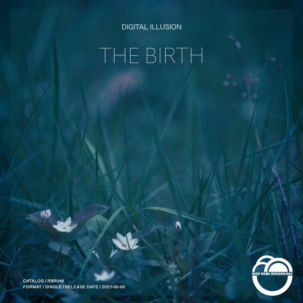 Digital illusions. Dreamstalker - digital illusions (2012).