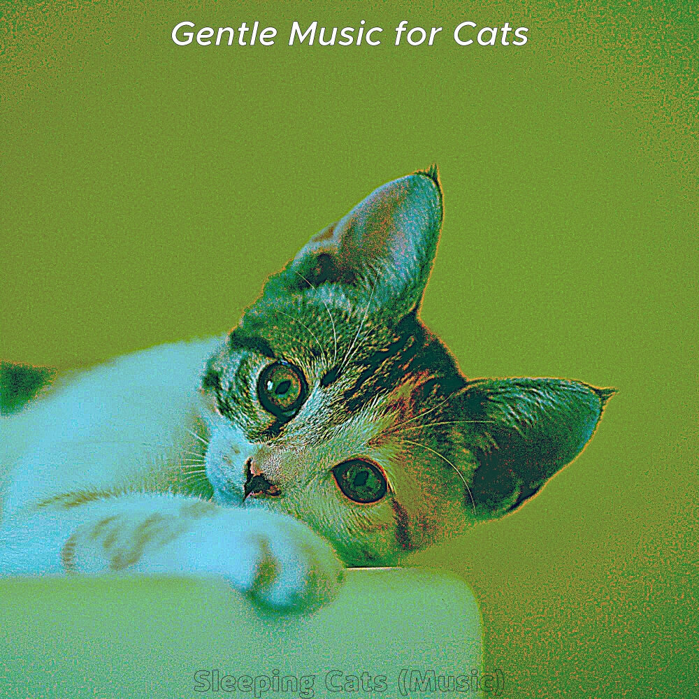 Кошка слушать. Gentle Cat. 25000 Kittens Ambient.