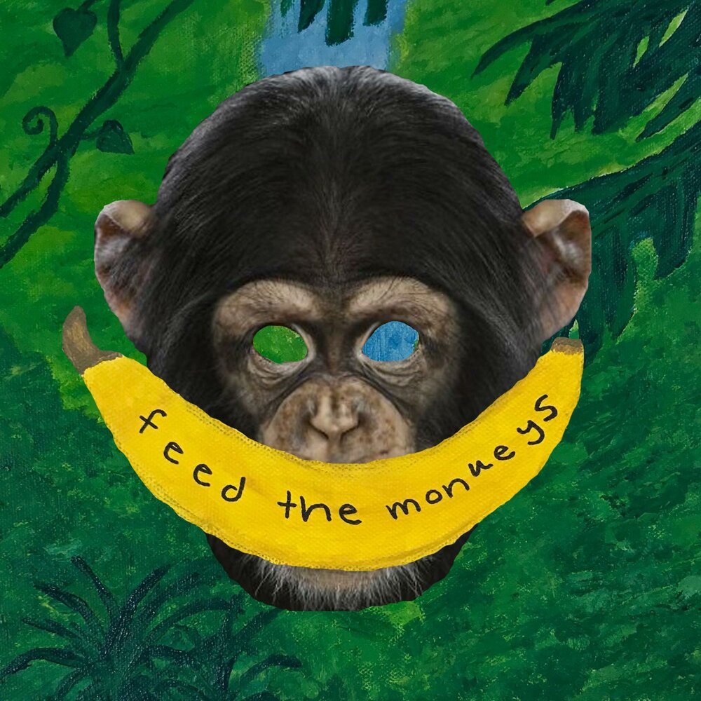 Monkey album. The Monkees обложки. Monkey see Monkey do. Обезьяны авы 2019. Monkey see Monkey do Welsh.