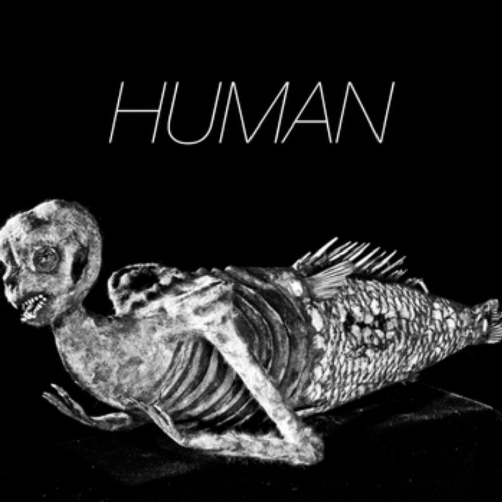 Human listen. Human listen. Human listen. Swanky tunes human. Human listen.