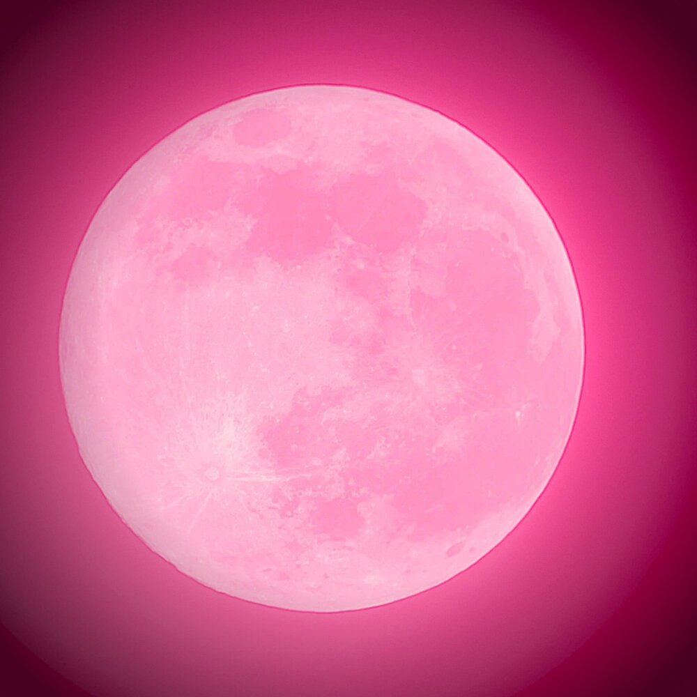 Одинокая луна розовая. Розовая Луна. Розовая Луна 2022. Розовое полнолуние. Розовая Луна 16 апреля.