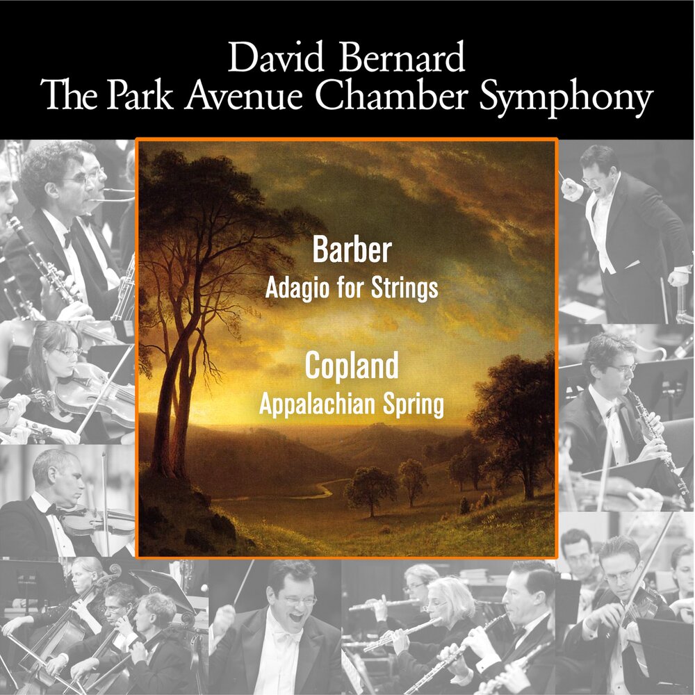 Дэвид Бернард. Adagio for Strings, op. 11 Samuel Barber. Adagio for Strings Samuel Barber слушать 2 скрипка. Bernard Park profile. Barber adagio