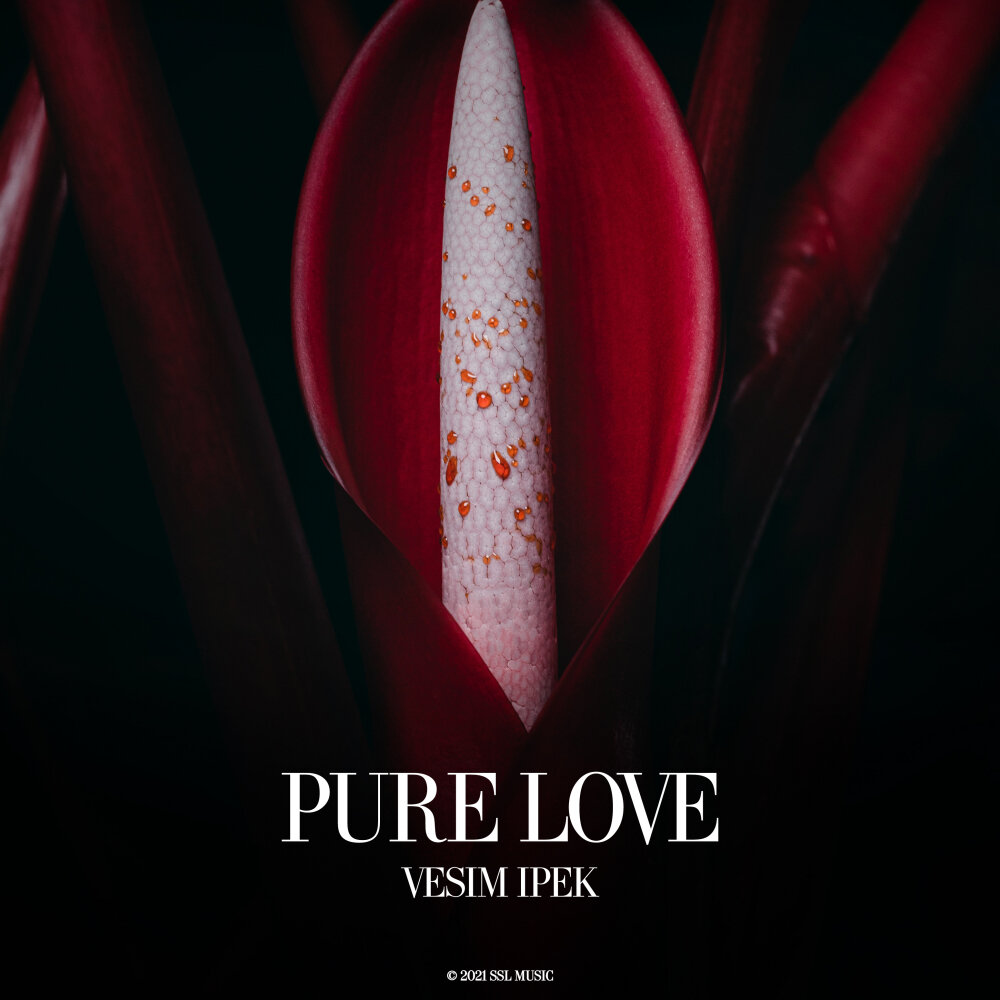 Pure love. Дизайн Pure Love. Broken Heart Vesim Ipek перевод песни. Pure Love mp3.