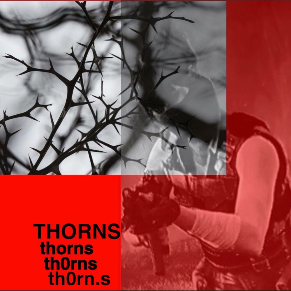 The cursed thorn. Thorn песня. : Curse of Thorns Автор: Стейси Тромбли / Stacey Trombley.