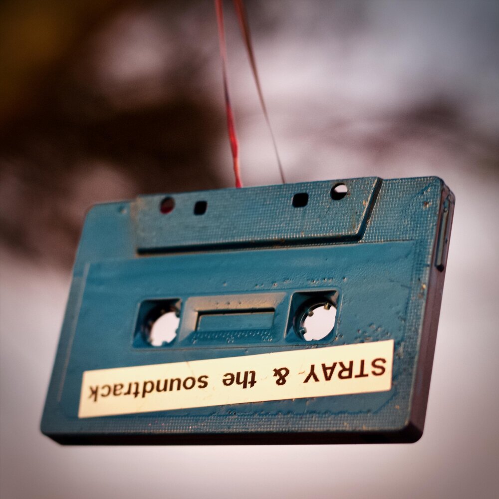 Jazzamor. Shy песня. Alex cameron musician. Before too long. Before too long.