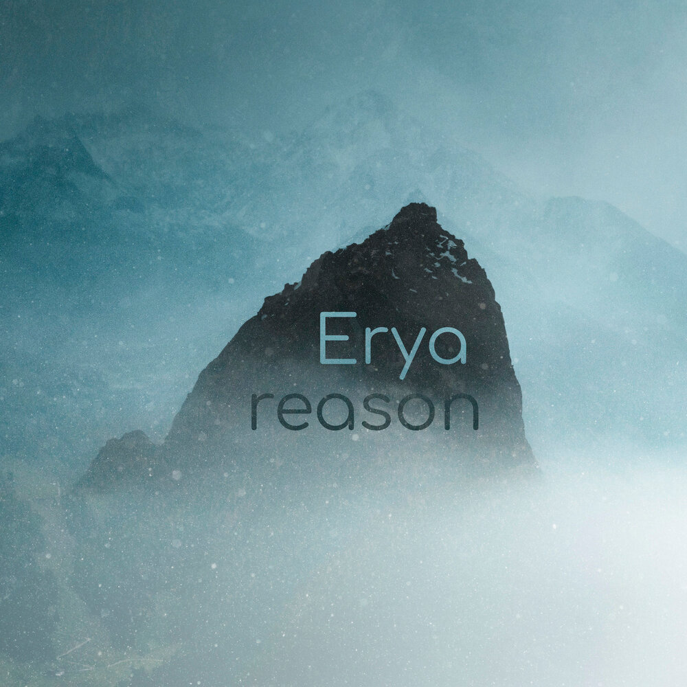 Erya reason ipad 16gb with retina display