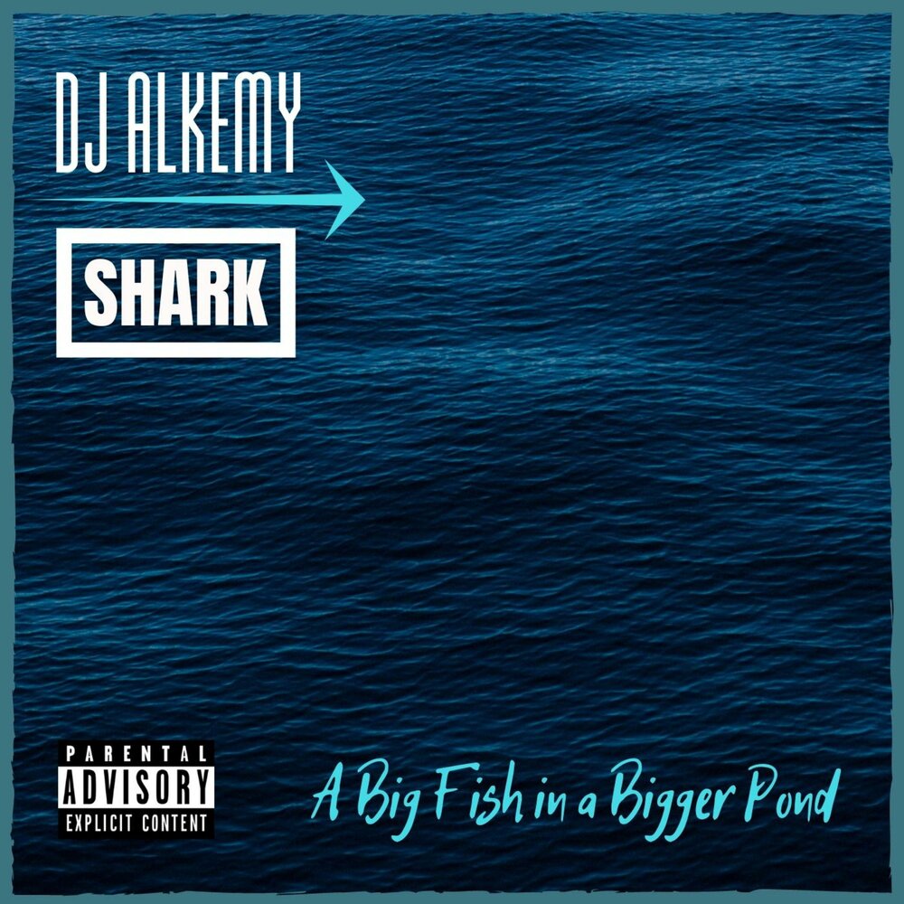 DJ Shark. Sunshine Shark. Акула музыка слушать