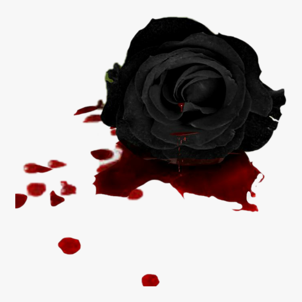 Черные фоны с красными розами