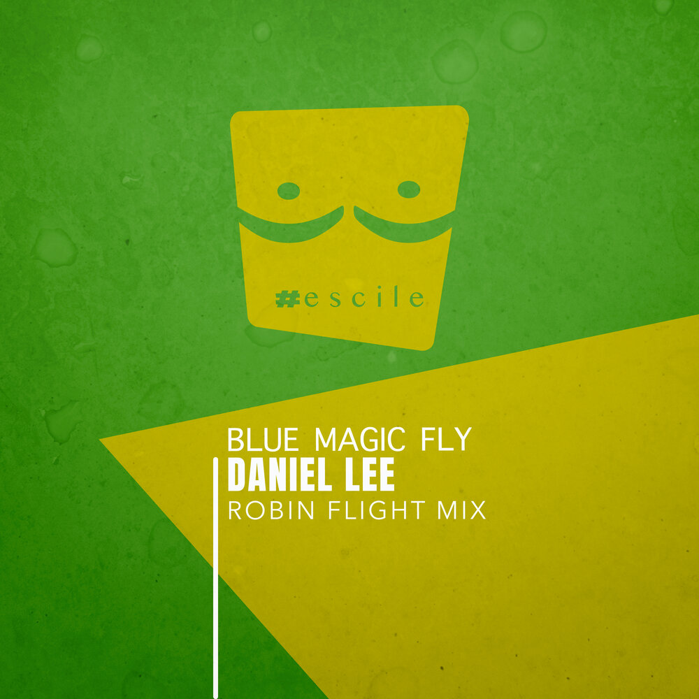 Песня magic fly. Daniel Fly.. Fly Robin Fly. Blues Music logo.