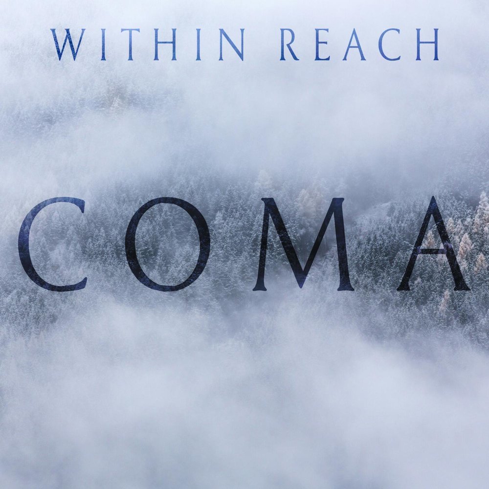 Coma исполнитель. Reach within обложка альбома. Passion remains - 2022 - Stars within reach. Within reach